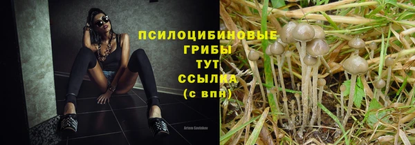 spice Баксан