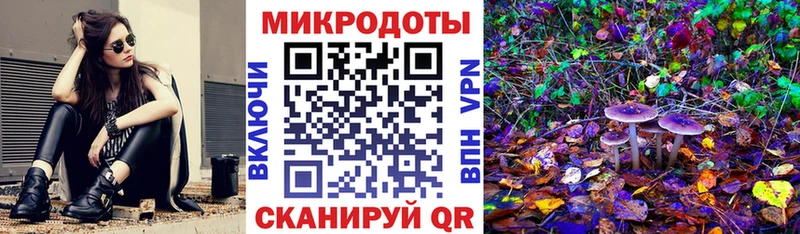Псилоцибиновые грибы Cubensis Заречный