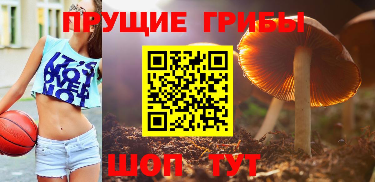 Псилоцибиновые грибы Magic Shrooms  Вход с VPN  Галлюциногенные грибы Psilocybine cubensis  Заречный 