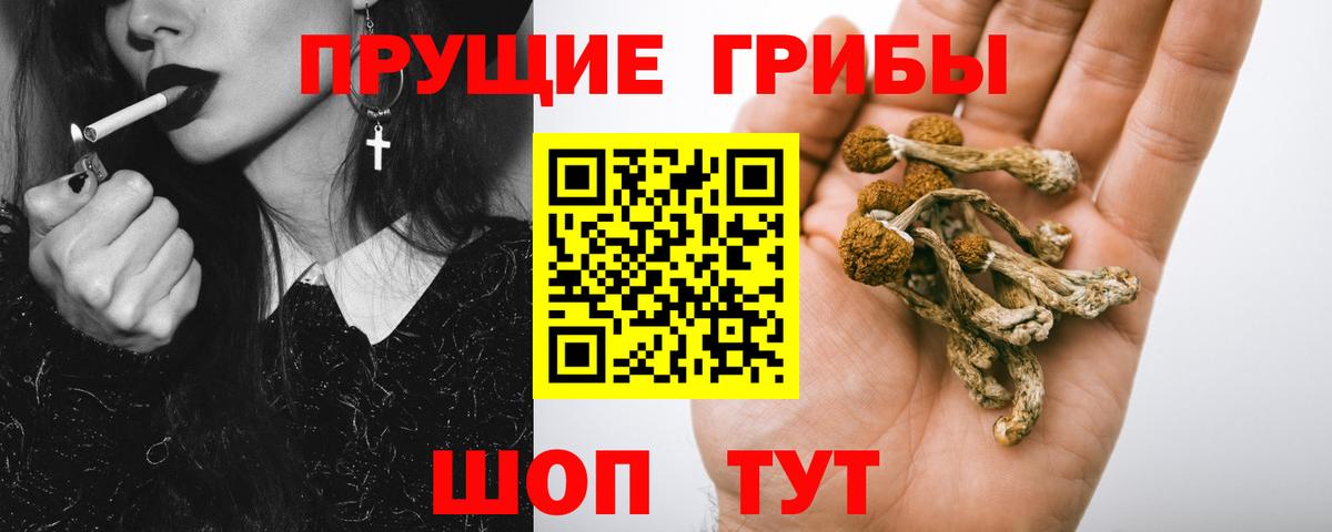 Галлюциногенные грибы Magic Shrooms Заречный